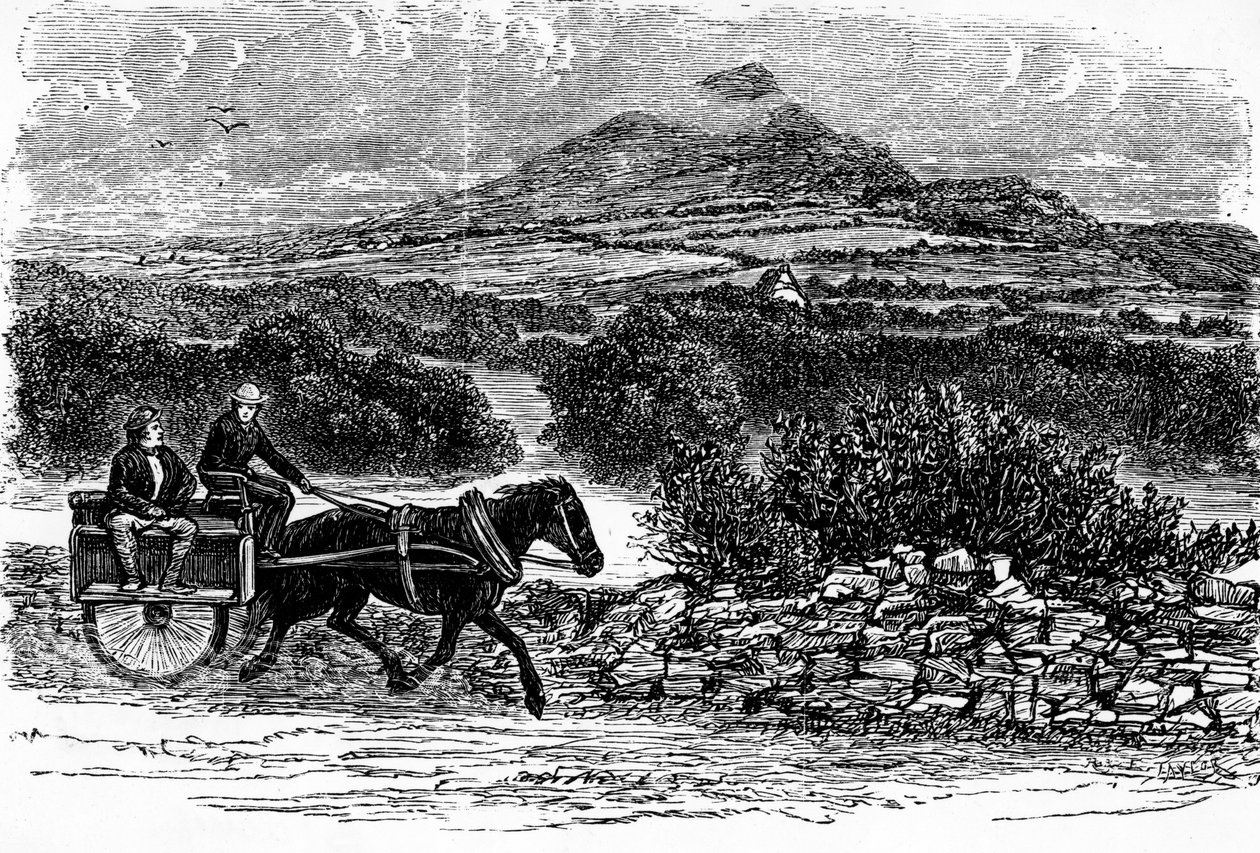 County Wicklow, printti E. Taylor tekijältä Irish School