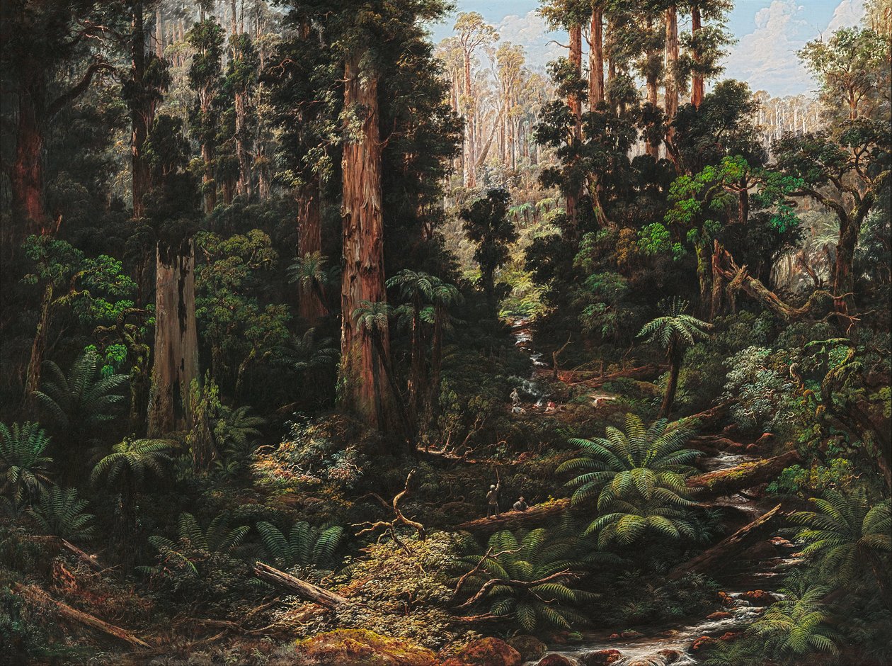 Sassafras Valley, Victoria tekijältä Isaac Whitehead