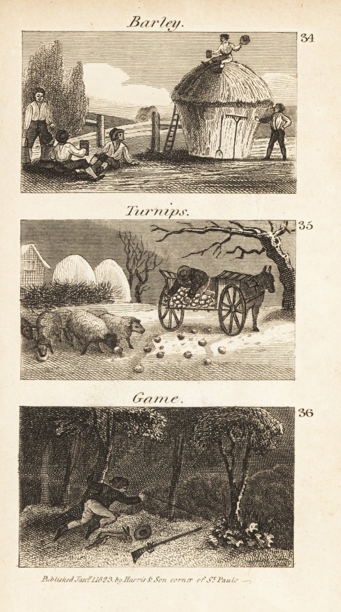 Kaupat Norfolkissa, Regency Englandissa tekijältä Isaac Taylor