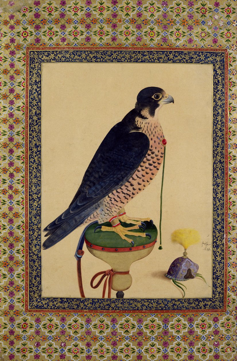 Ms E-14 Falcon, Moraqqan lentokoneesta. tekijältä Islamic School