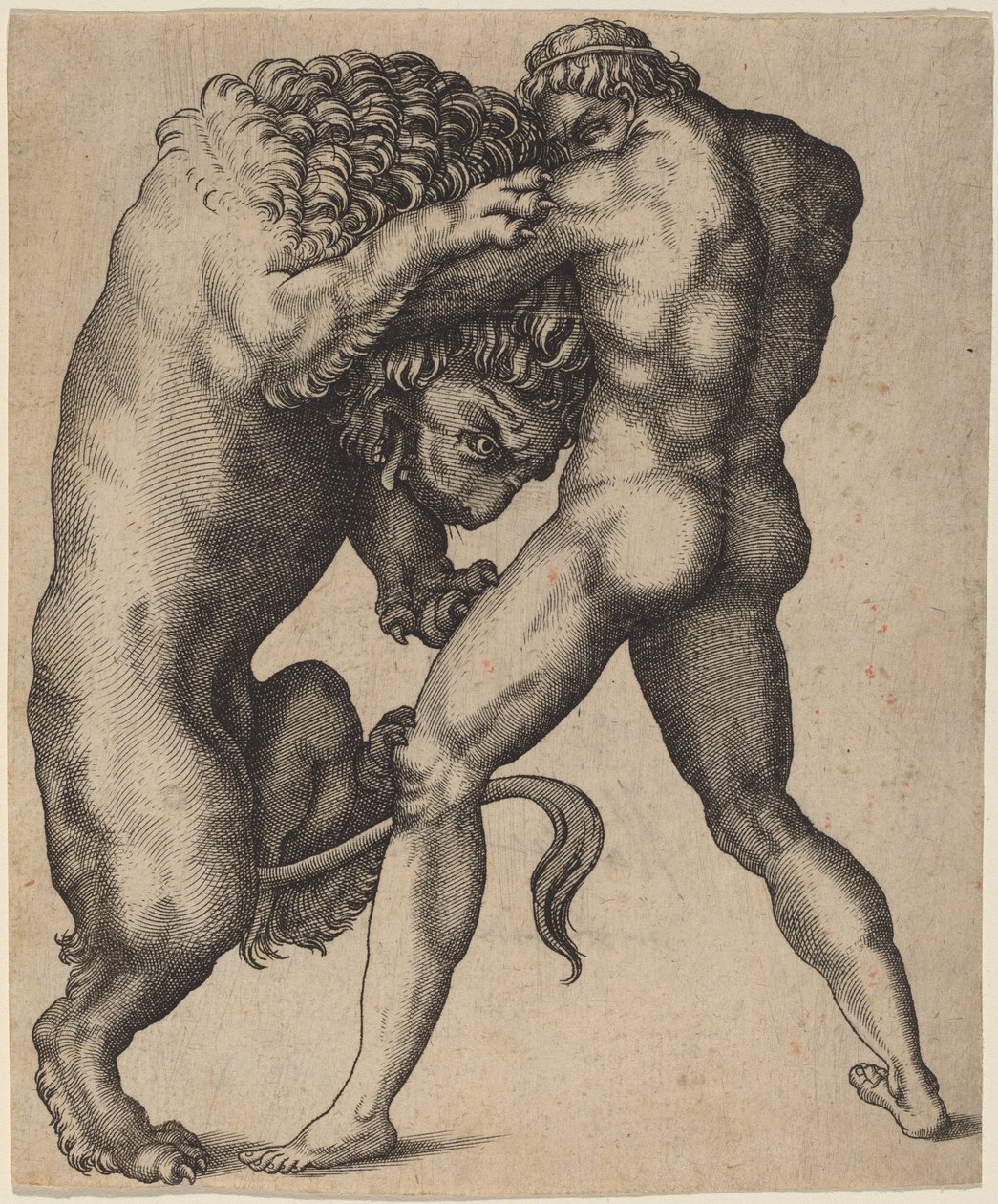 Hercules ja Nemean-leijona tekijältä Italian 16th Century