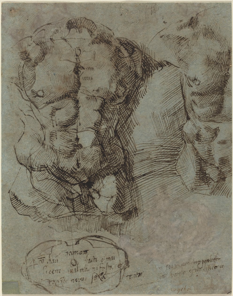 Miehen vartalon tutkimukset tekijältä Italian 16th Century