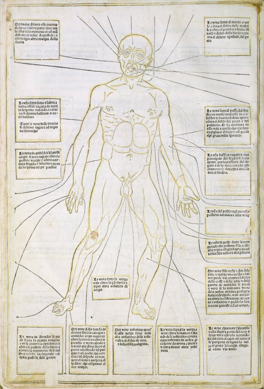 Kuvitus "Fassiculus Medicinae" Venetsiasta tekijältä Italian School