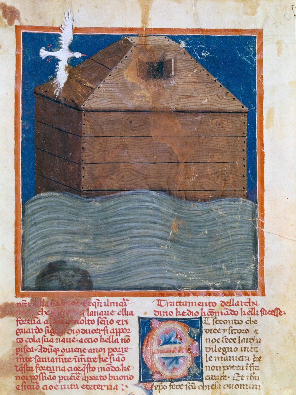 Neiti. II.VI.16, c 83a, Nooan arkki tekijältä Italian School