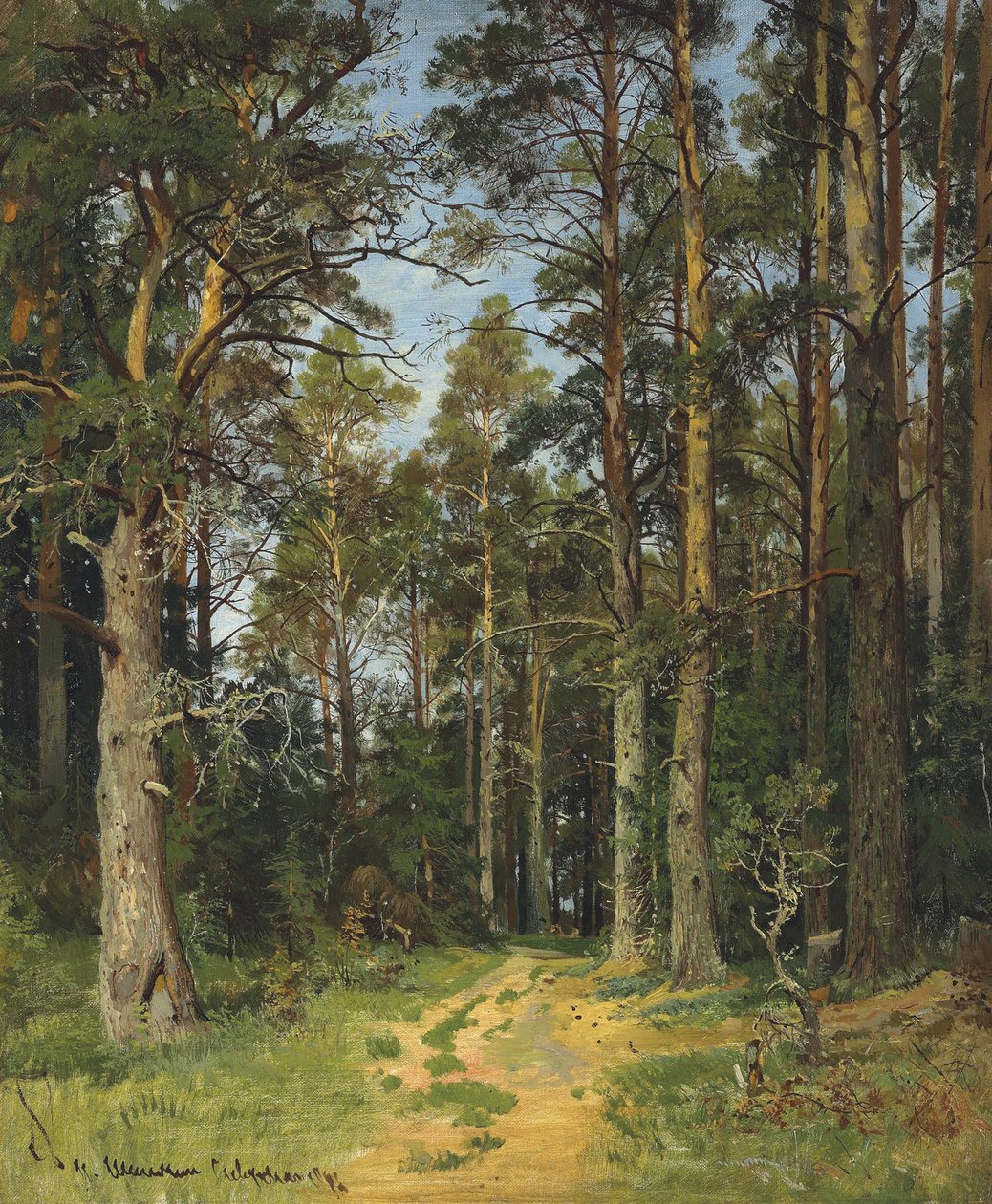 Siverskaja, 1896. tekijältä Ivan Ivanovich Shishkin