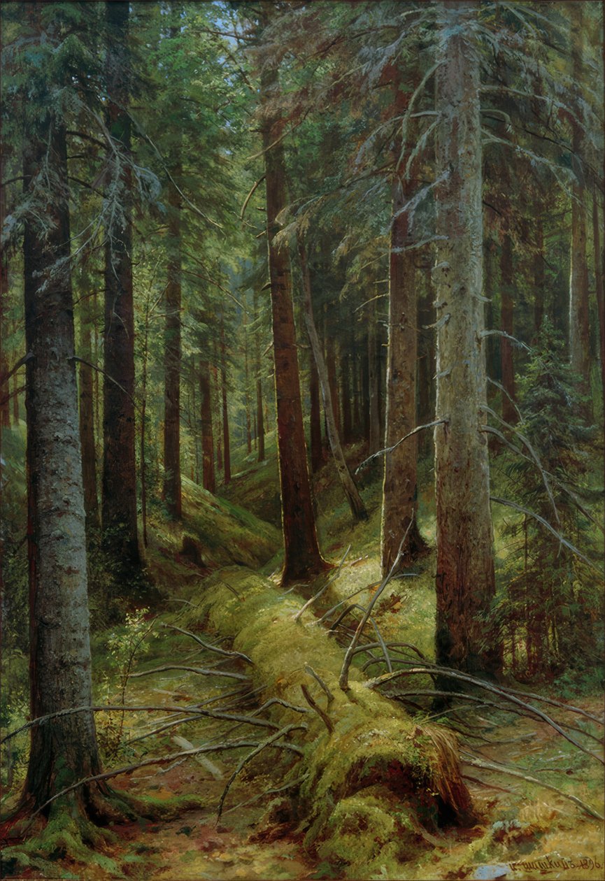 Venäjän metsässä tekijältä Ivan Ivanovich Shishkin