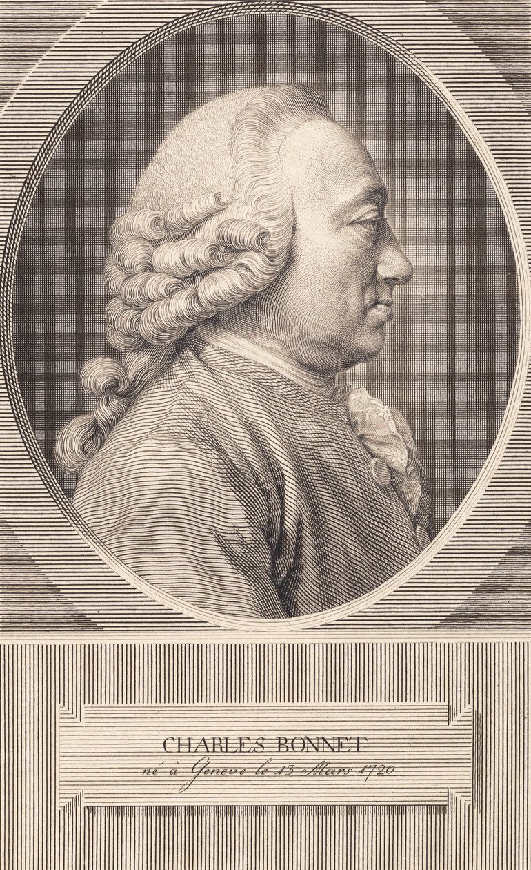Charles Bonnet tekijältä J.F. Clemens
