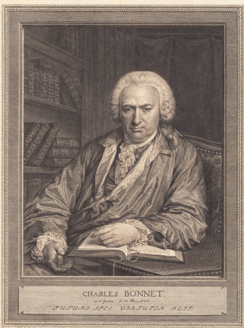 Charles Bonnet tekijältä J.F. Clemens