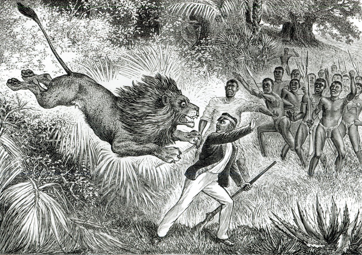 Livingstone hyökkää lionin kimppuun (bw kuva) tekijältä J.M. Cobner