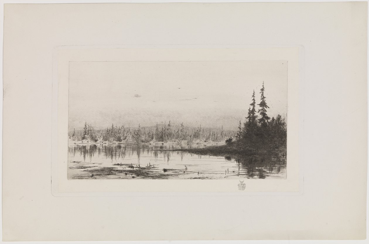 Järvi tekijältä J.P. Wildenrath