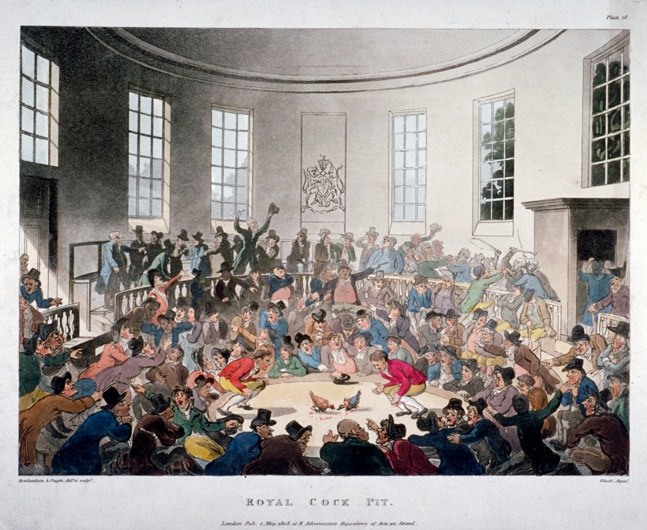 "Royal Cock Pit", 1808 tekijältä J Bluck