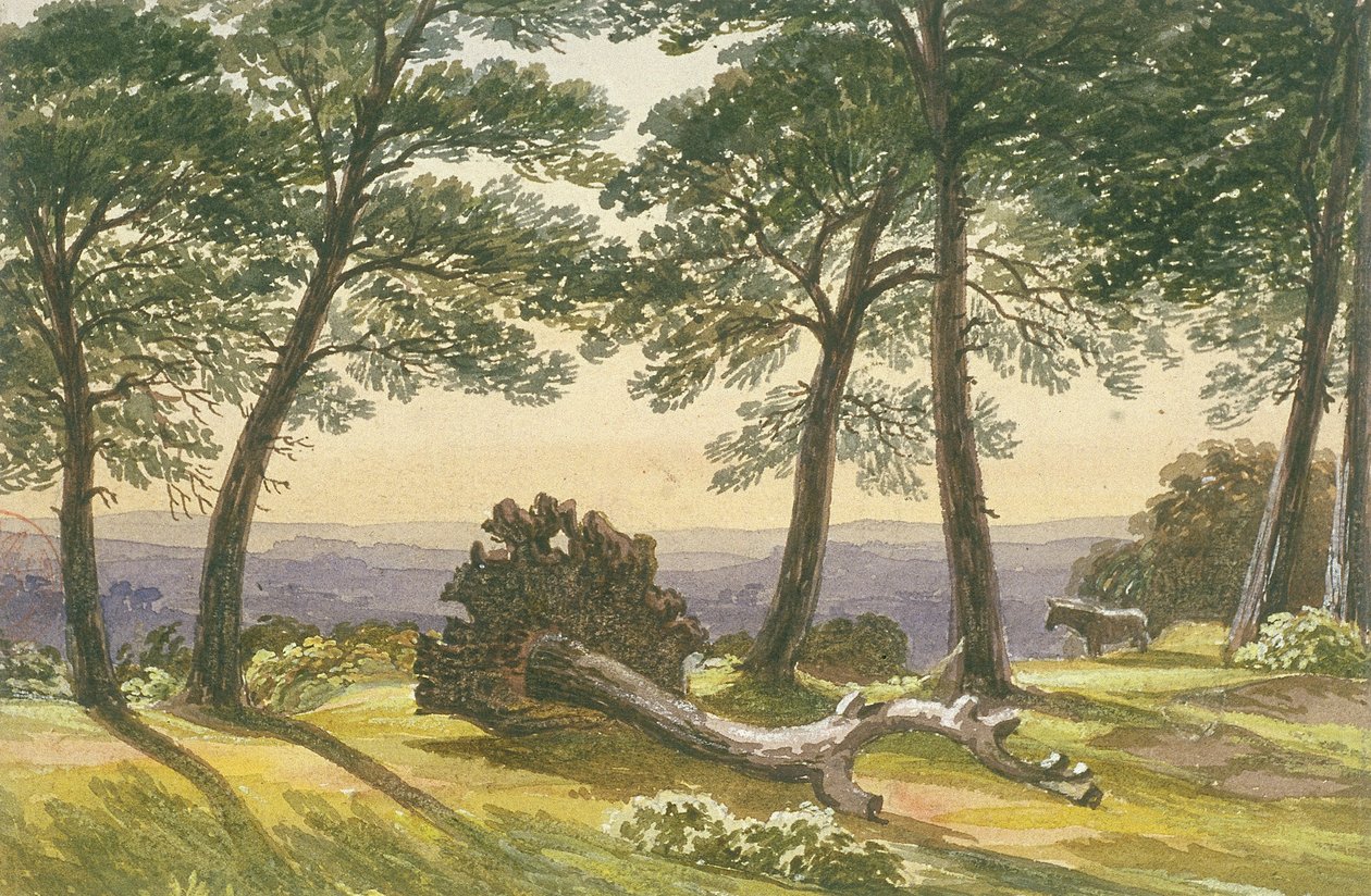 Hampstead Heath, Lontoo, 1830 tekijältä J Powell