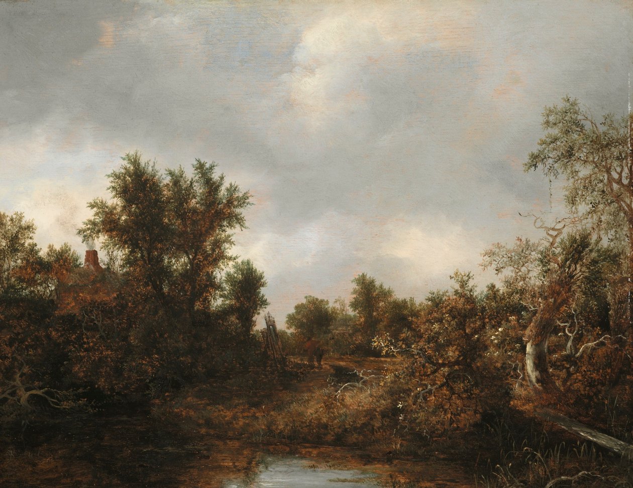 Maisema tekijältä Jacob van Ruisdael