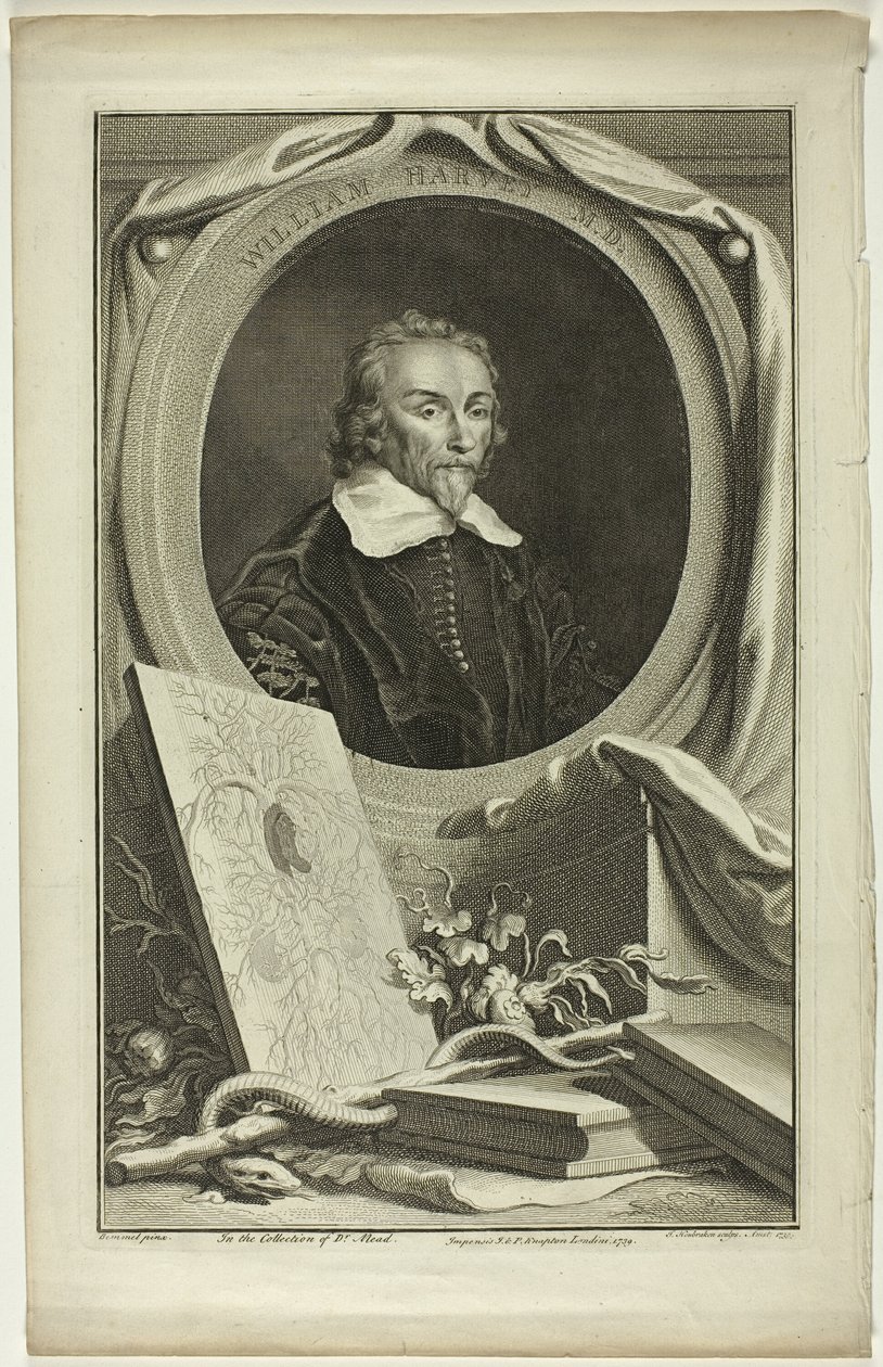 William Harvey, M.D. tekijältä Jacobus Houbraken