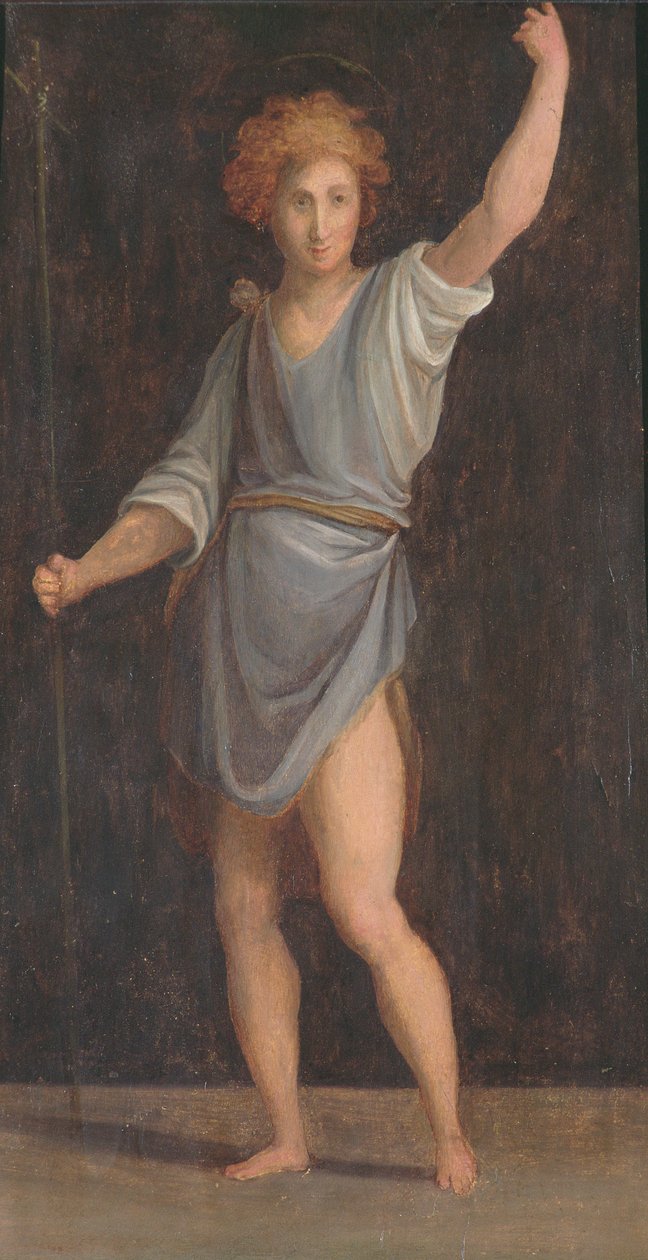 Paneeli, Mint vaunut tekijältä Jacopo Pontormo