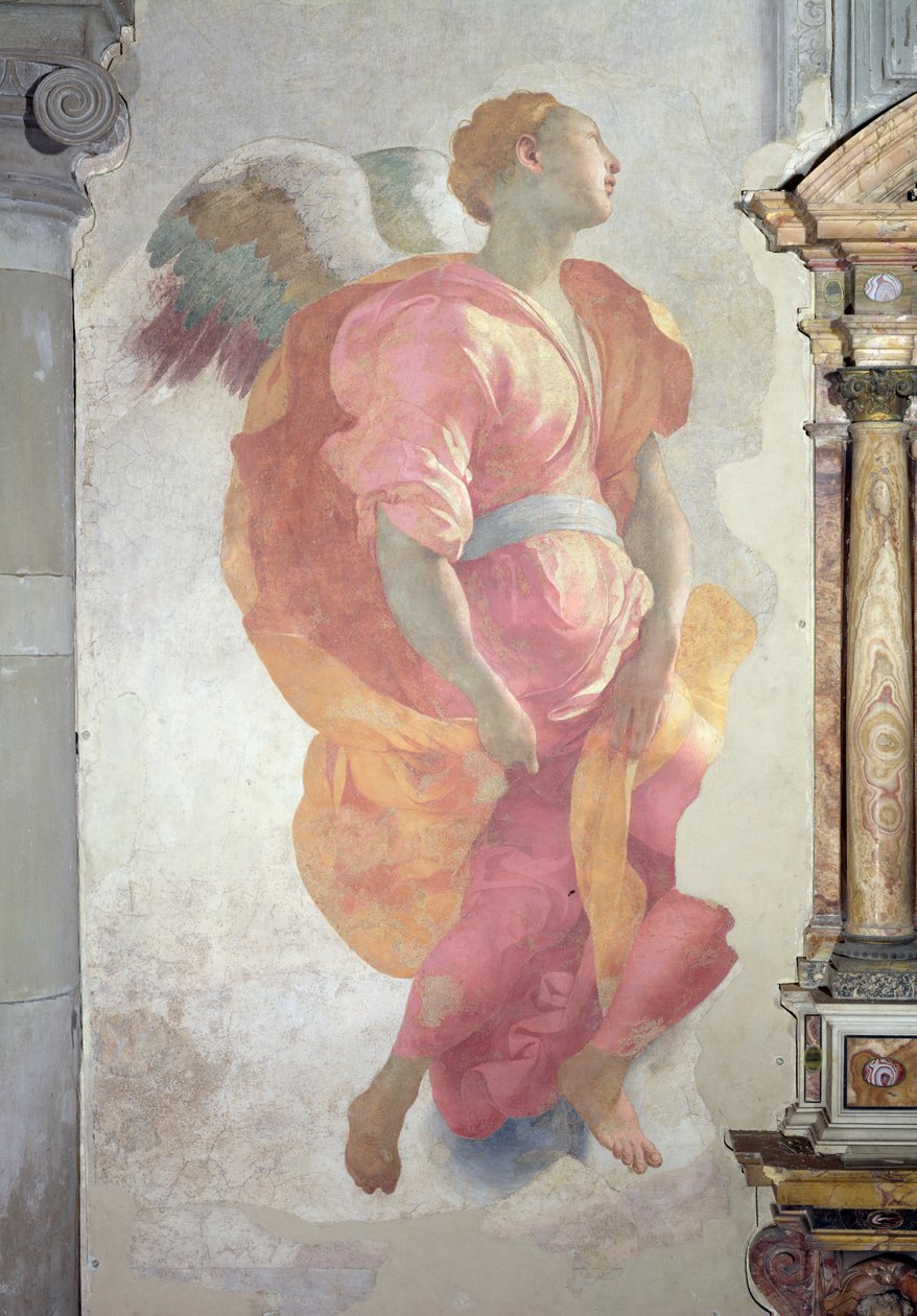 Vierailu, yksityiskohta enkelistä alttarin vasemmalla puolella, 1528-30 fresko tekijältä Jacopo Pontormo