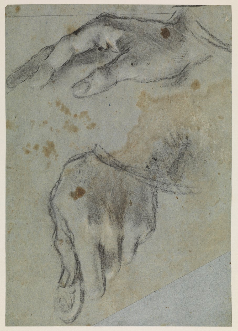 Käsitutkimukset, recto, 1500-luku tekijältä Jacopo Bassano