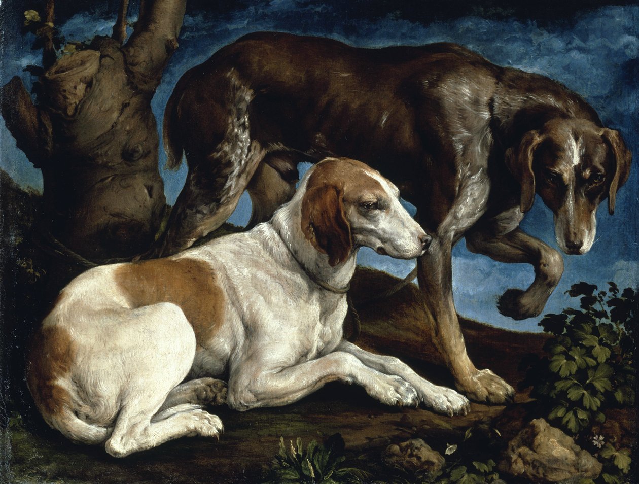 Kaksi metsästyskoiraa, 1548-1549. tekijältä Jacopo Bassano il vecchio