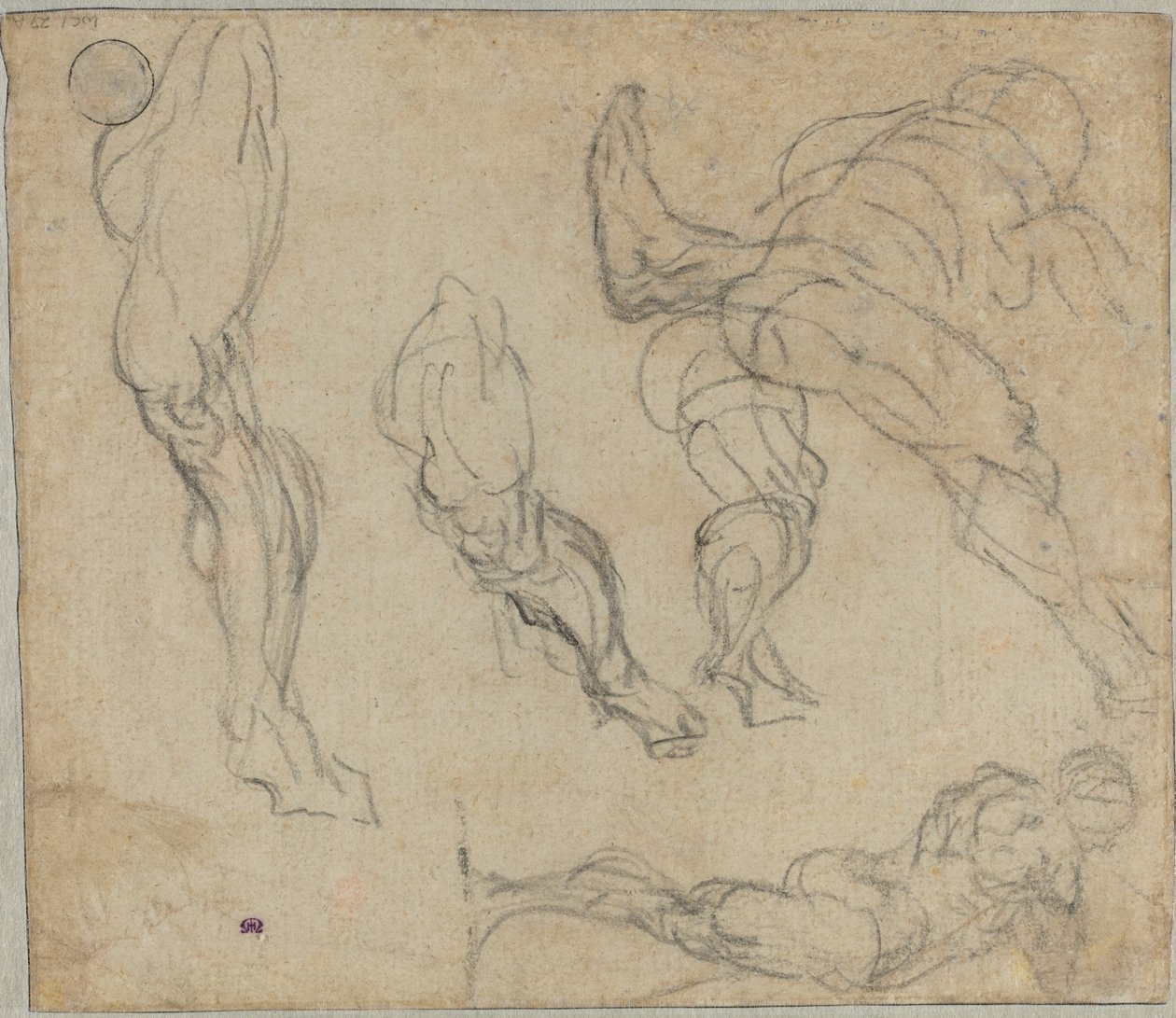 Figuurit ja jalat (käänteinen) tekijältä Jacopo Tintoretto