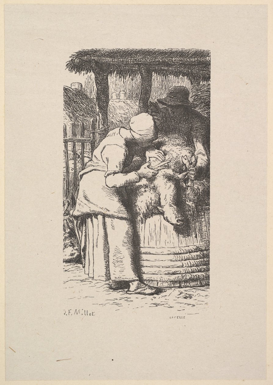 Lammasleikkaus, 1853. tekijältä Jacques Adrien Lavieille