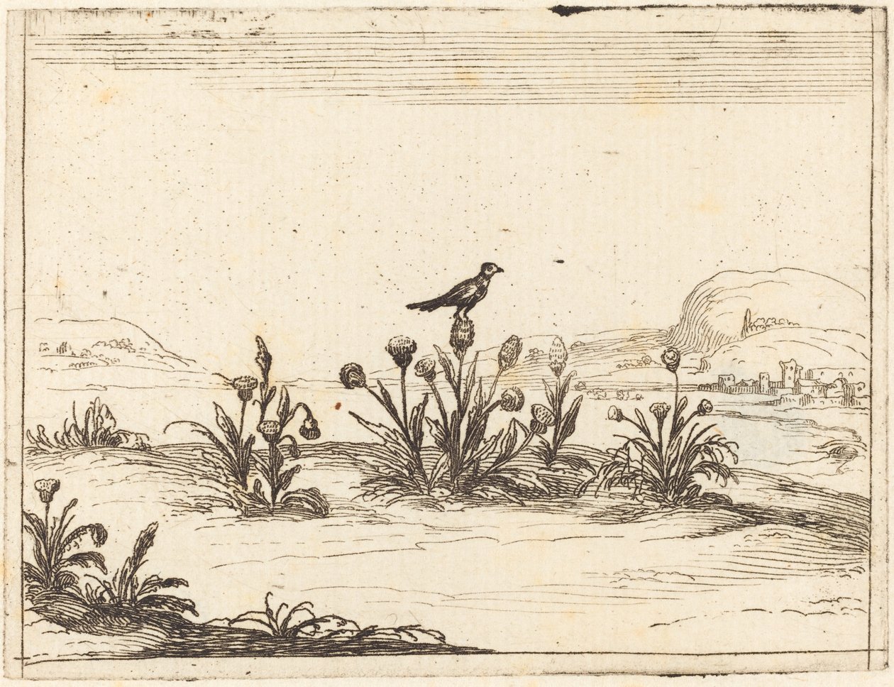 Lintu istui ohdakkeessa tekijältä Jacques Callot