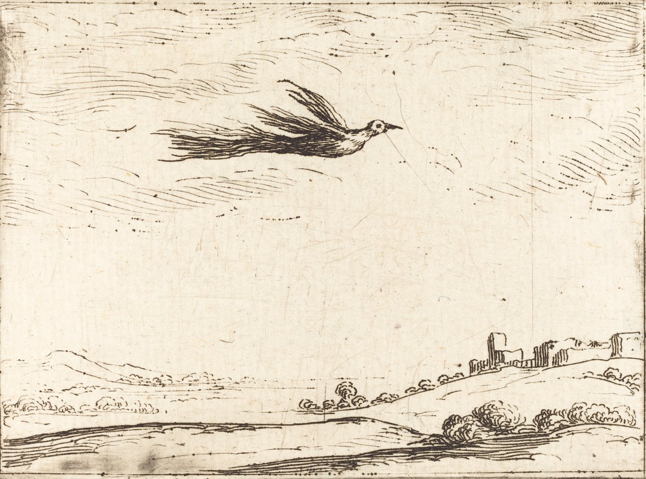 Paratiisin lintu tekijältä Jacques Callot