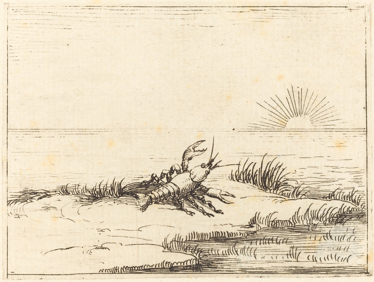 Rapu katselee aurinkoa tekijältä Jacques Callot