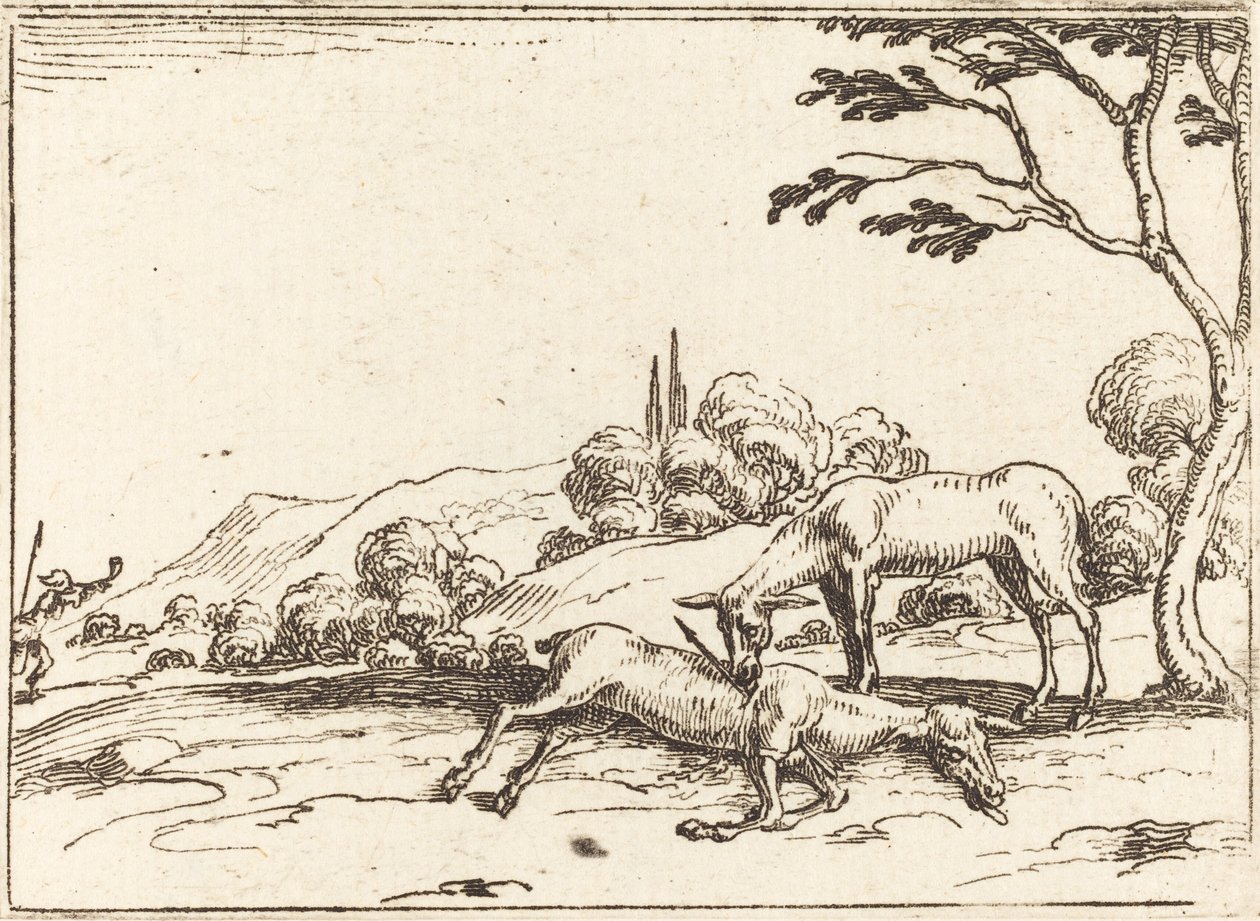 Doe Surua varsaansa tekijältä Jacques Callot