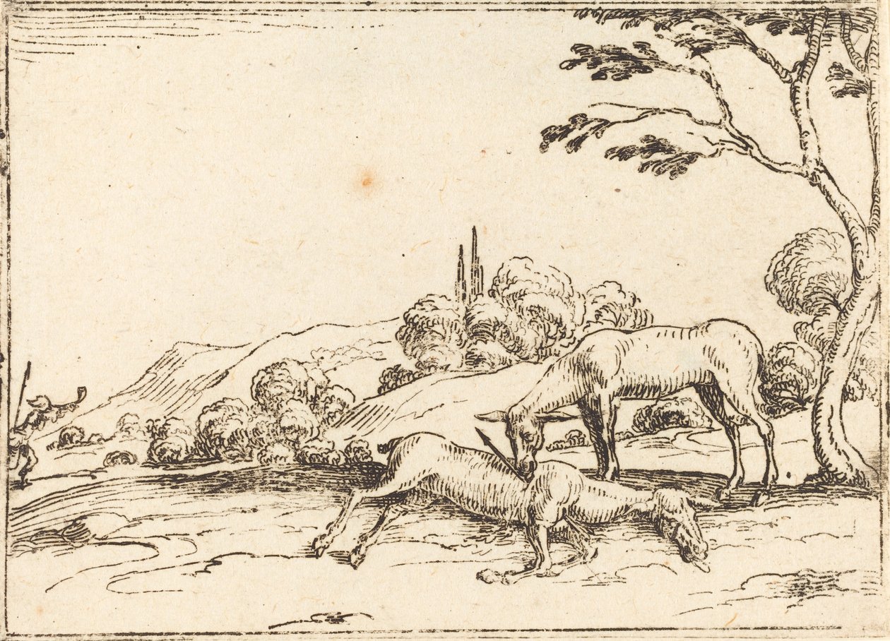 Doe Surua varsaansa tekijältä Jacques Callot