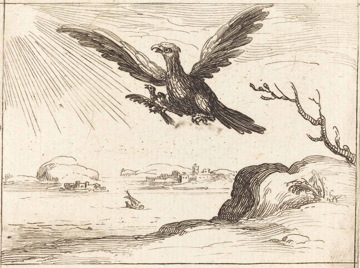 Kotka ja nuori tekijältä Jacques Callot