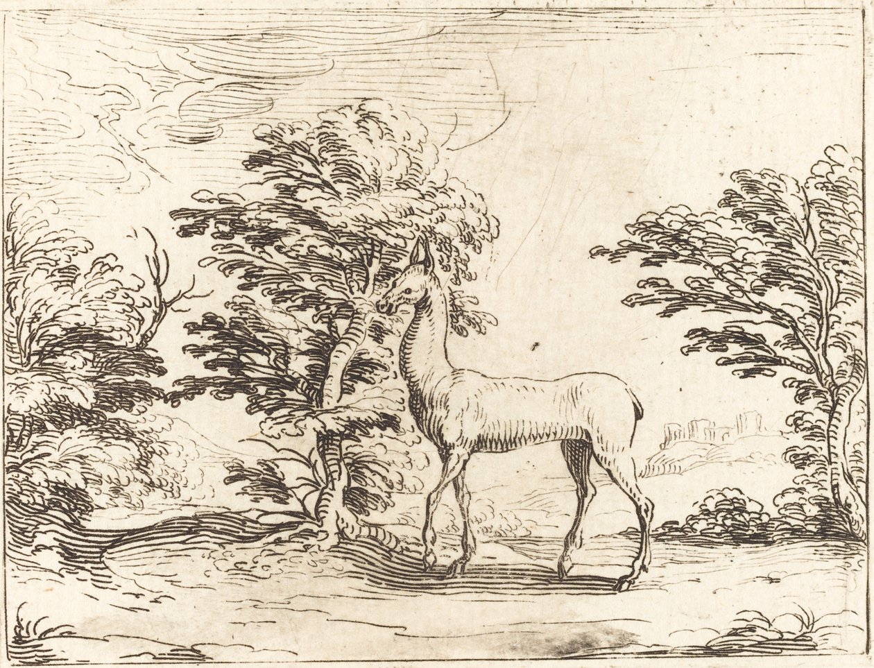 The Doe tekijältä Jacques Callot