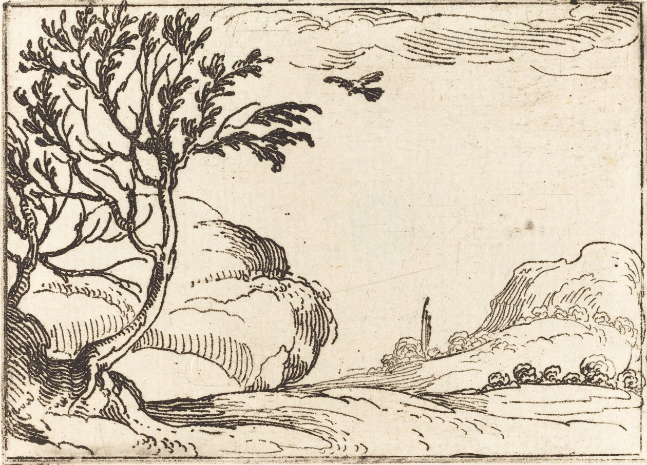 Turtle Dove Fly in the Desert. tekijältä Jacques Callot