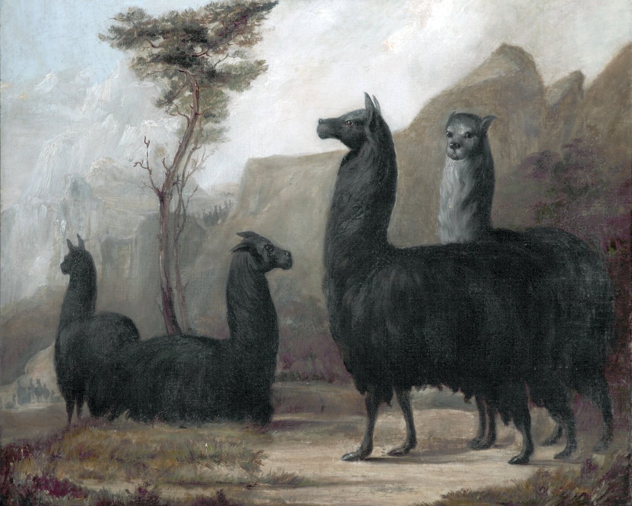 Alpakat tekijältä Jacques Laurent Agasse