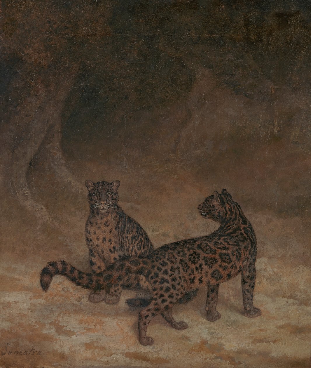 Pilviset leopardit tekijältä Jacques Laurent Agasse