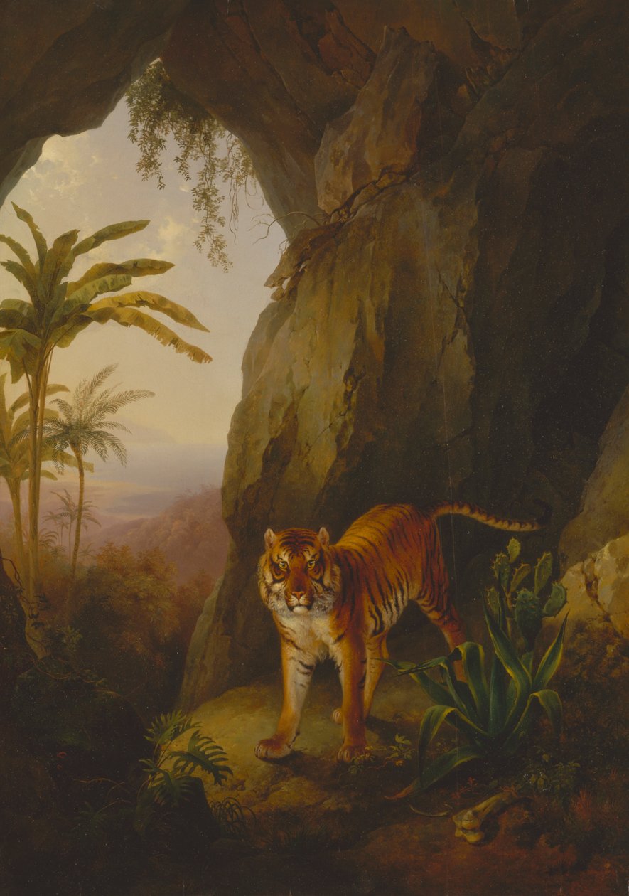 Tiikeri luolassa tekijältä Jacques Laurent Agasse