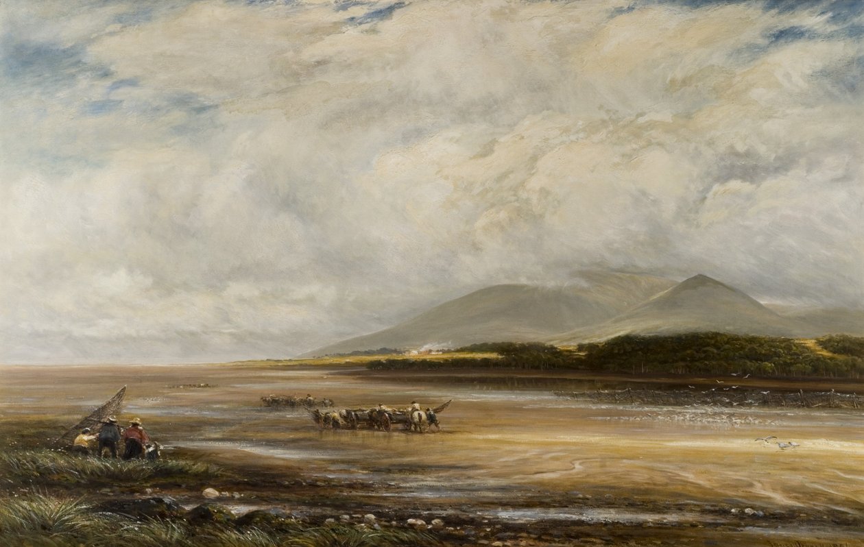 Solway, Criffel kaukana tekijältä James Orrock