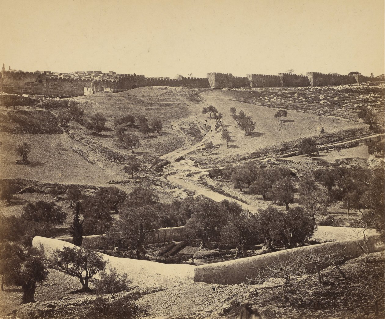 (Jerusalem. Getsemanen puutarha) tekijältä James Robertson
