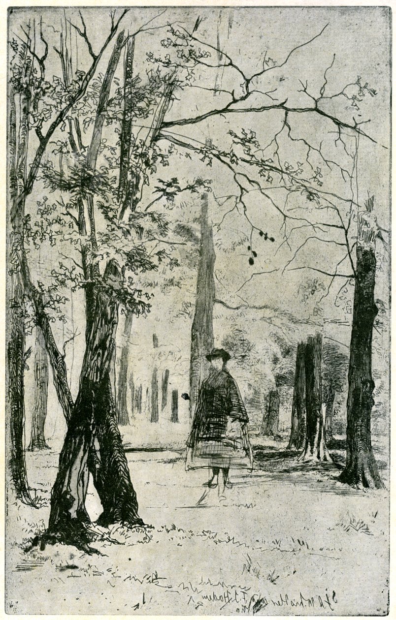 Puu, 1800-luku 1904. tekijältä James Abbott McNeill Whistler