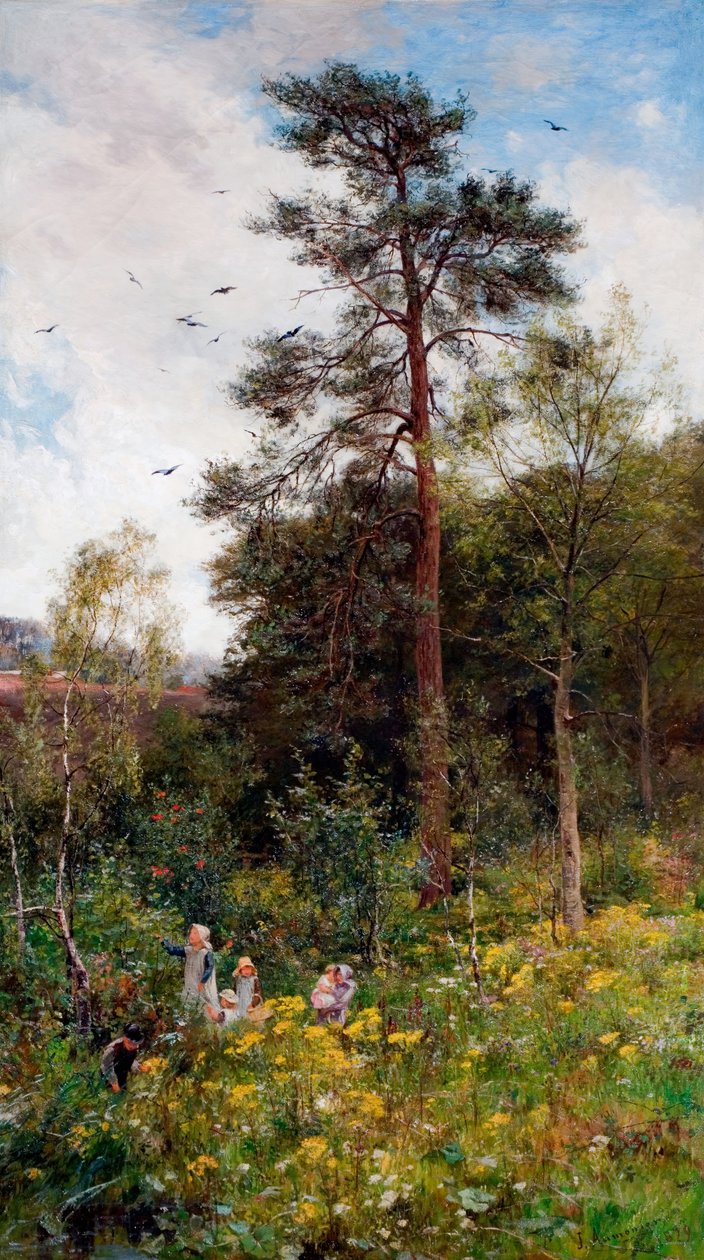 Nook in Nature