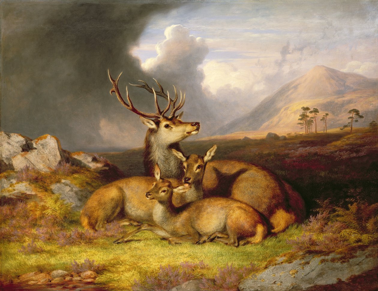 Highland Felicity, taustalla Ben Lebrig tekijältä James Giles
