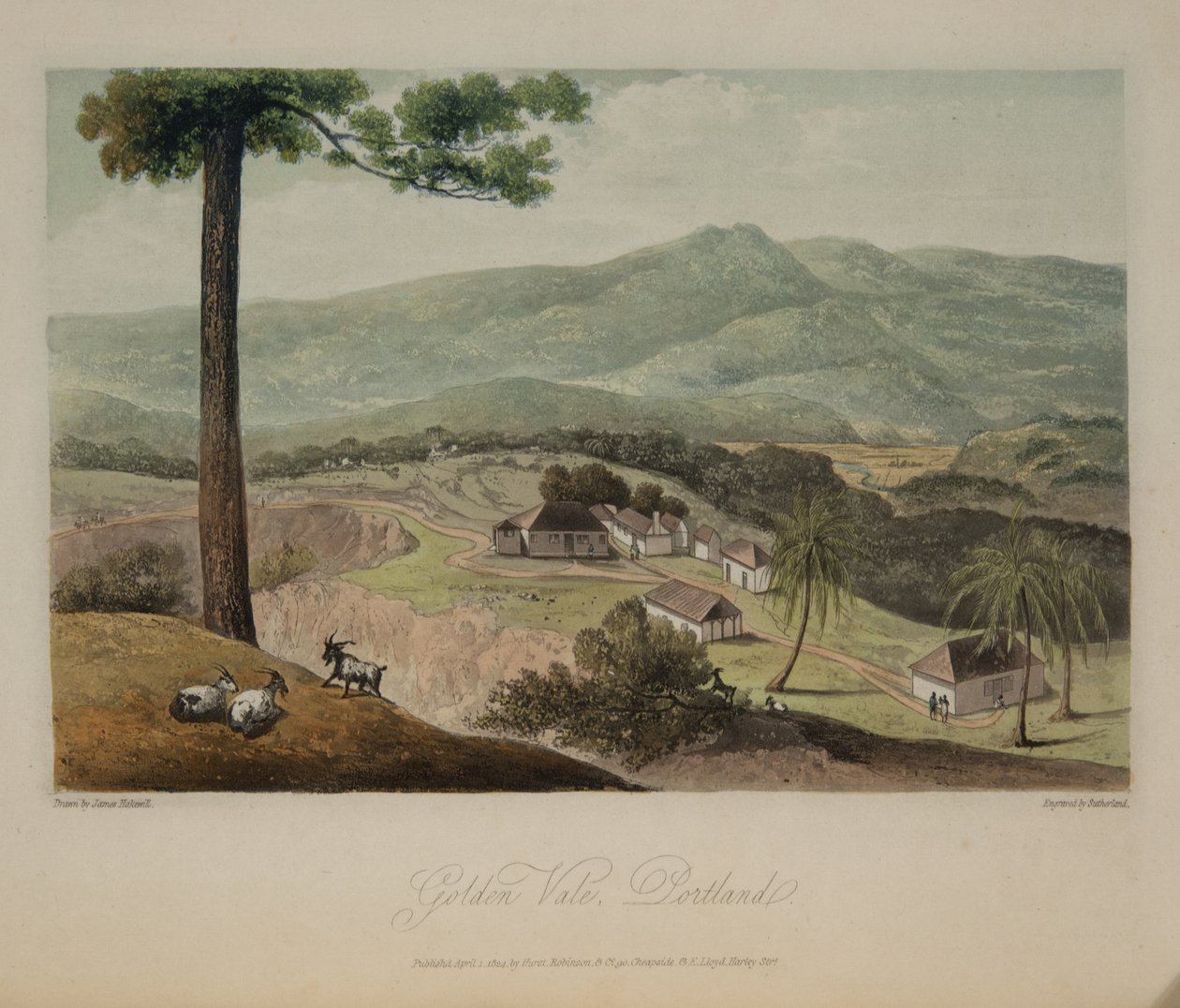Golden Vale, Portland tekijältä James Hakewill