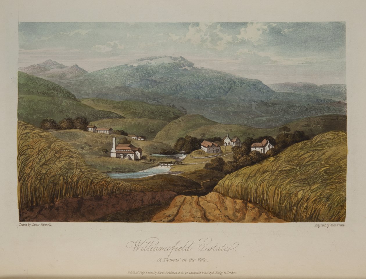 Williamsfield Estate, St. Thomas in the Vale tekijältä James Hakewill