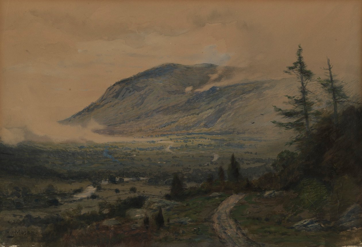 Vuori ja laakso tekijältä James Henry Moser