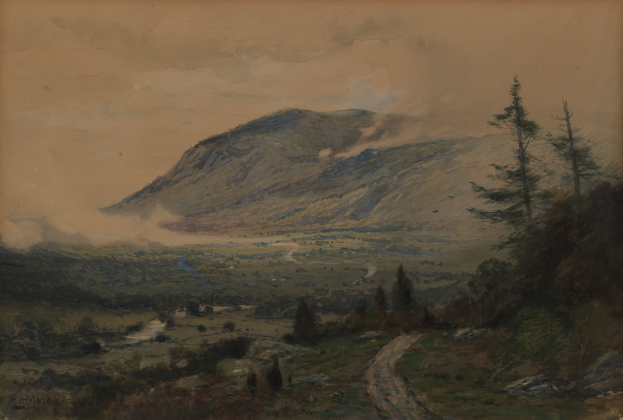 Vuori ja laakso, 1893. tekijältä James Henry Moser
