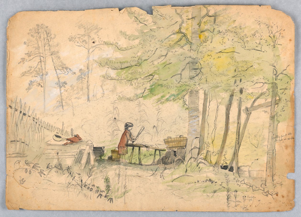 Metsän leiri tekijältä James Henry Moser