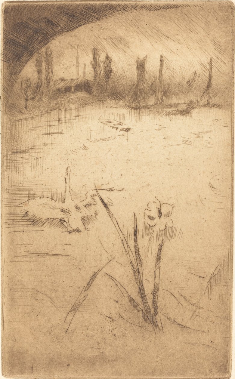 Swan ja Iris tekijältä James Abbott McNeill Whistler