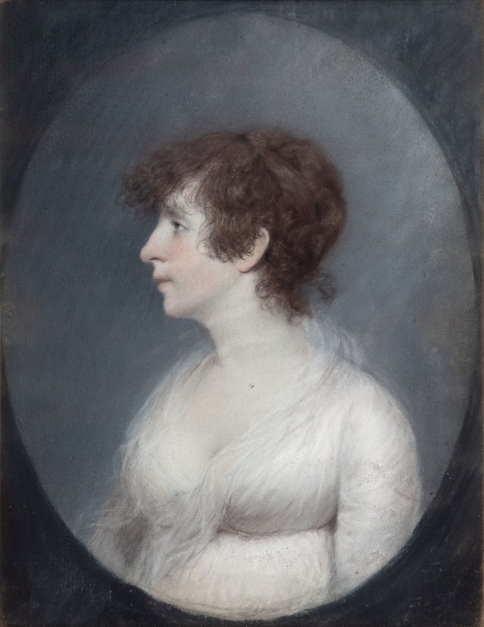 Lady Wilmot (pastelli harmaalla paperilla) tekijältä James Sharples