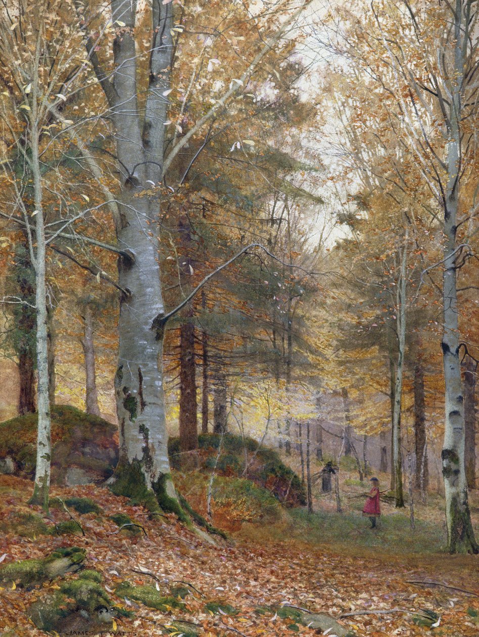 Syksy metsässä tekijältä James Thomas Watts