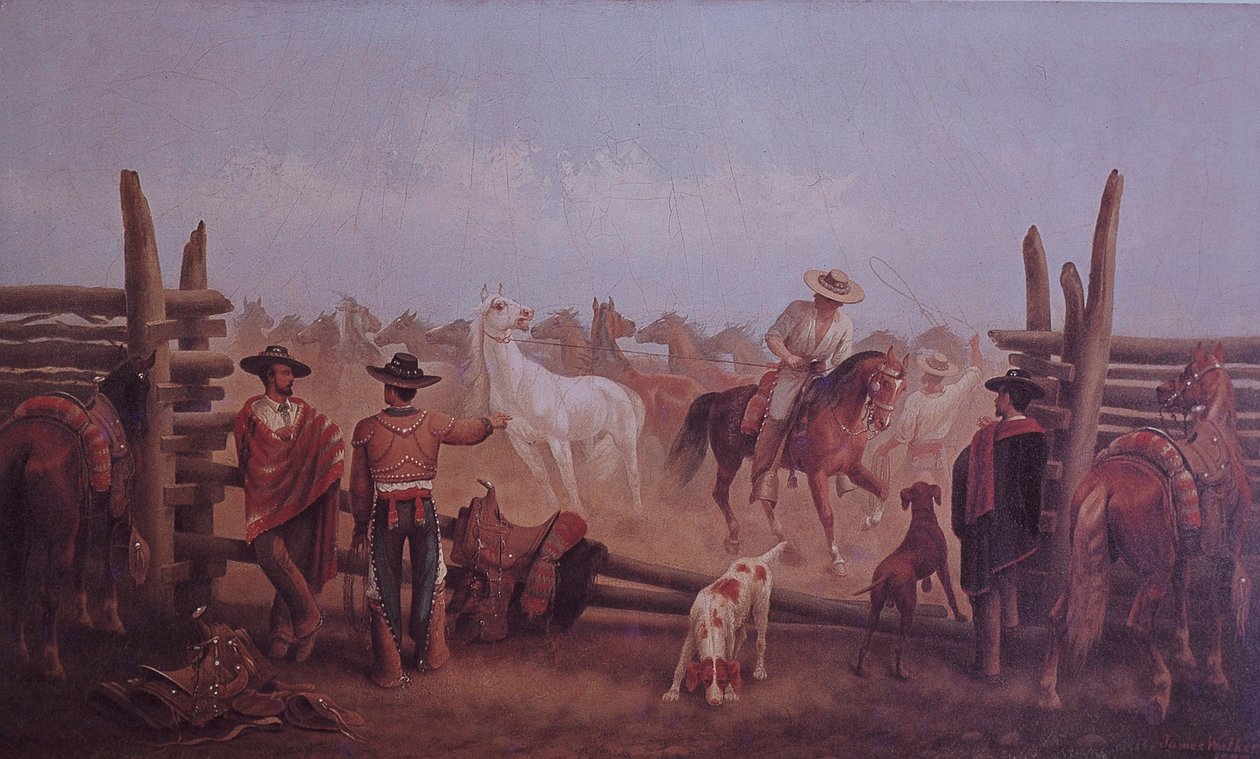 Tejano Ranchers tekijältä James Walker