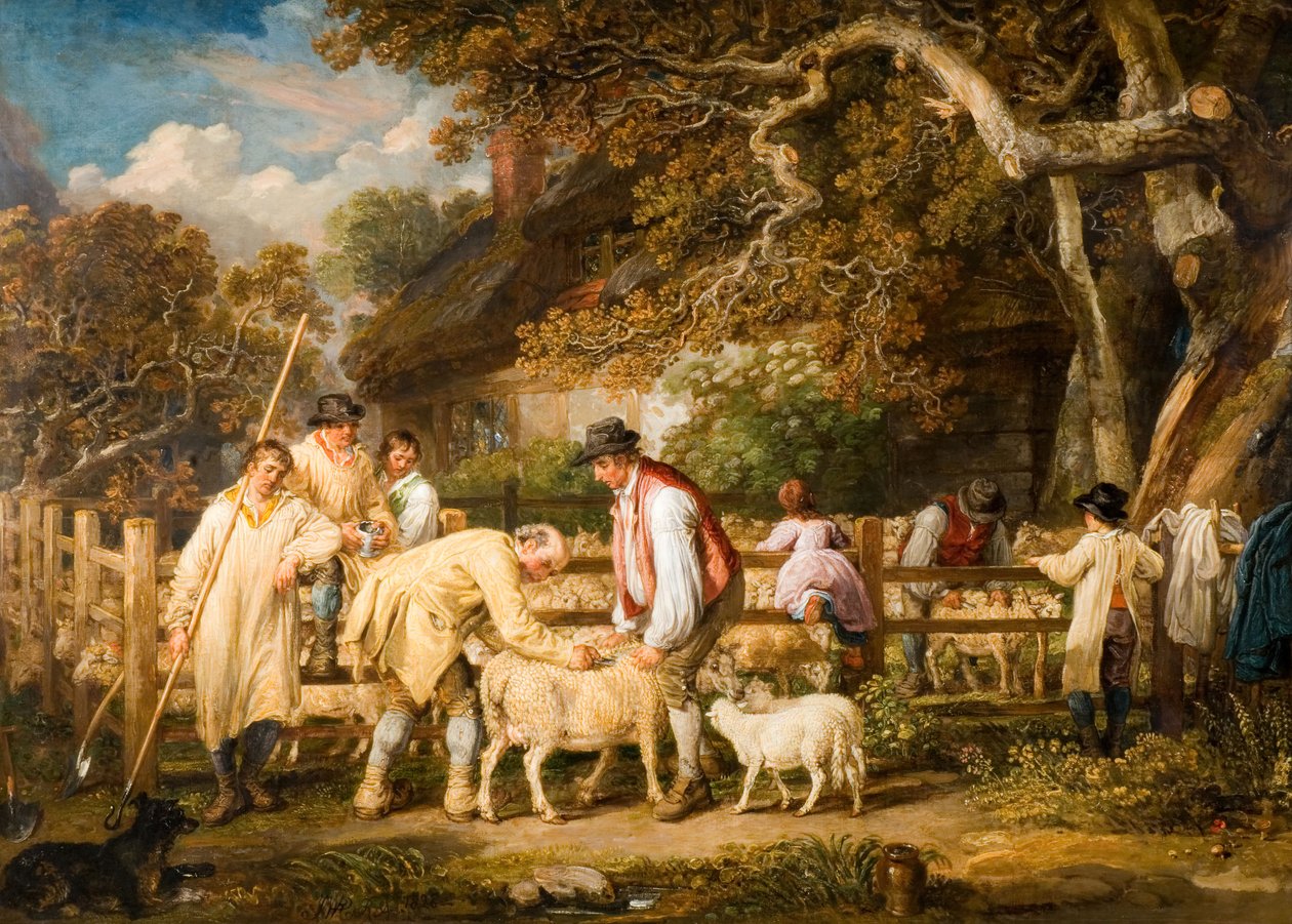Sheep Salving, 1828. tekijältä James Ward